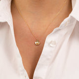 14k Gold | Pearl in Sea Shell Necklace