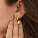 14k Gold | 4 Leaf Clover Earrings