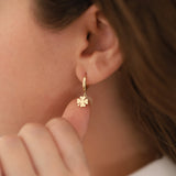 14k Gold | 4 Leaf Clover Earrings