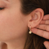 14k Gold | 4 Leaf Clover Earrings