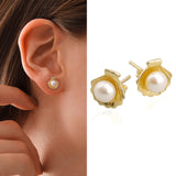 14k Gold | Pearl in Sea Shell Stud Earrings