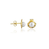 14k Gold | Pearl in Sea Shell Stud Earrings