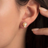 14k Gold | Pearl in Sea Shell Stud Earrings