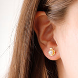 14k Gold | Pearl in Sea Shell Stud Earrings