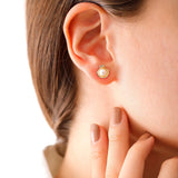 14k Gold | Pearl in Sea Shell Stud Earrings