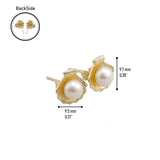 14k Gold | Pearl in Sea Shell Stud Earrings