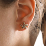 14k Gold | Dainty Star Flower Earrings