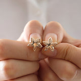 14k Gold | Dainty Star Flower Earrings