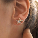 14k Gold | Dainty Star Flower Earrings