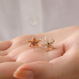 14k Gold | Dainty Star Flower Earrings