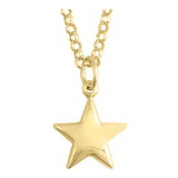 14k Gold | 2mm Rolo Chain Necklace with Star Charm