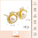 14k Gold | Pearl in Sea Shell Stud Earrings